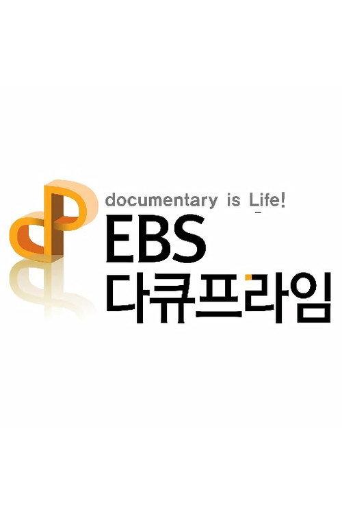 EBS 다큐프라임 filmas online
