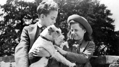 They Were Sisters filmas žiurėti online