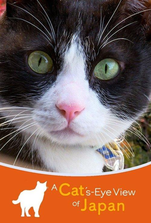 A Cat's-Eye View of Japan filmas online