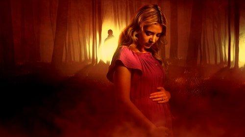 The Secret Lives of Sister Wives filmas žiurėti online