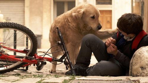 Italo filmas žiurėti online