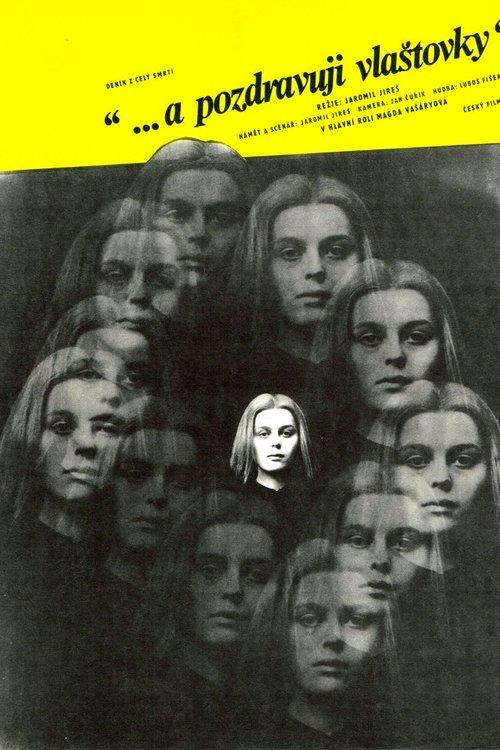 And Give My Love to the Swallows filmas online