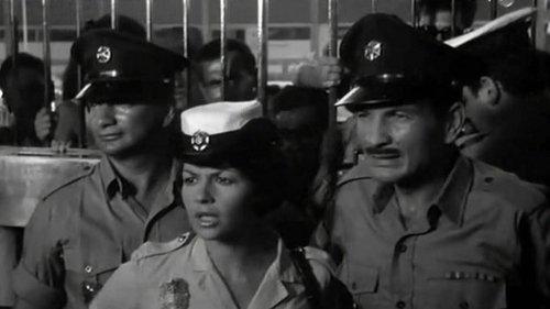 Ervinka filmas žiurėti online