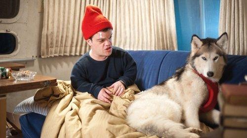 An Insignificant Harvey filmas žiurėti online