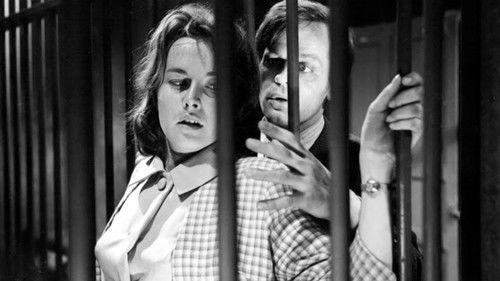 Die seltsame Gräfin filmas žiurėti online