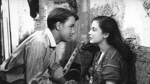 The Sky Is Red filmas žiurėti online