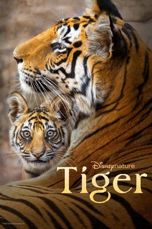 Tiger filmas online