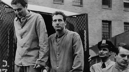 Somebody Up There Likes Me filmas žiurėti online