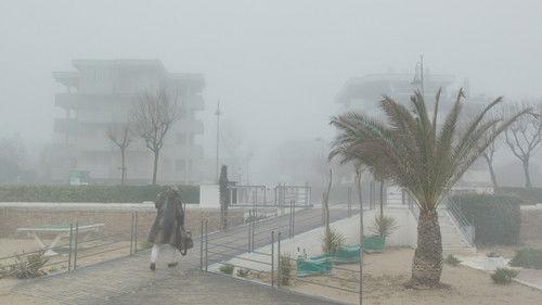 Rimini filmas žiurėti online