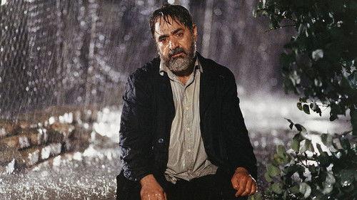 The Willow Tree filmas žiurėti online