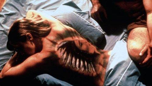 Canvas filmas žiurėti online