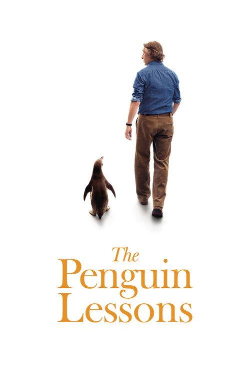 Pingvino pamokos filmas online