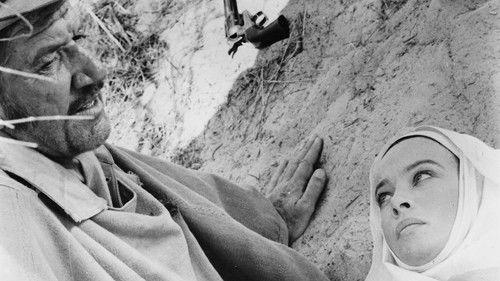 Madron filmas žiurėti online