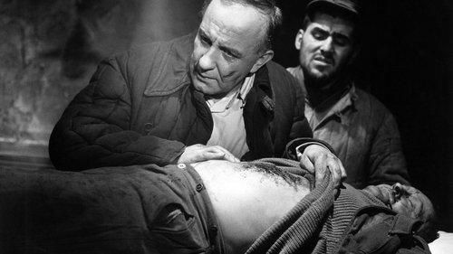 Der Arzt von Stalingrad filmas žiurėti online