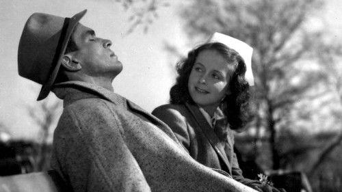 Synnin jäljet filmas žiurėti online