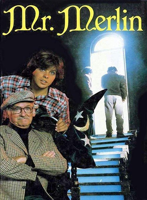 Mr. Merlin filmas online