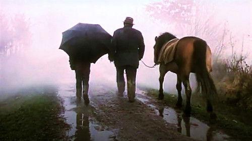 An Event filmas žiurėti online