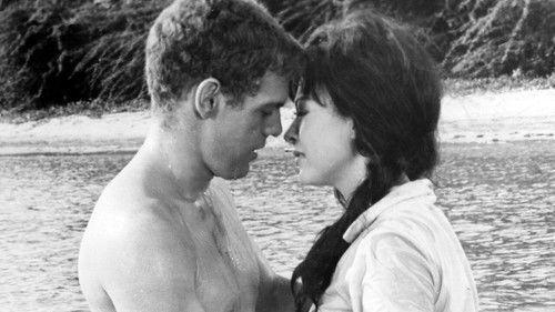 Cry of Battle filmas žiurėti online