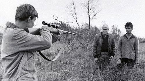 The Boy in the Tree filmas žiurėti online