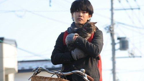 If Cats Disappeared from the World filmas žiurėti online