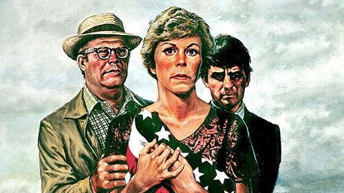 Friendly Fire filmas žiurėti online