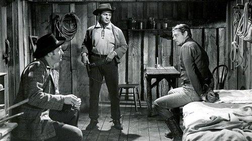 Saddle Tramp filmas žiurėti online