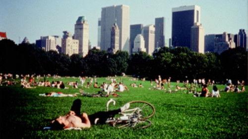 Central Park filmas žiurėti online