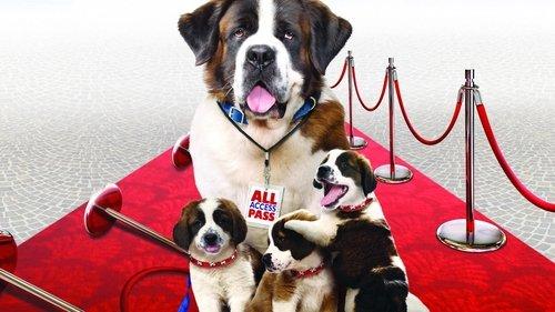 Beethoven's Big Break filmas žiurėti online