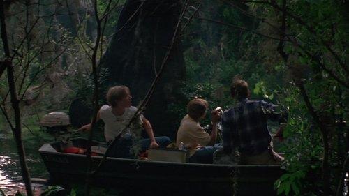 Wild America filmas žiurėti online