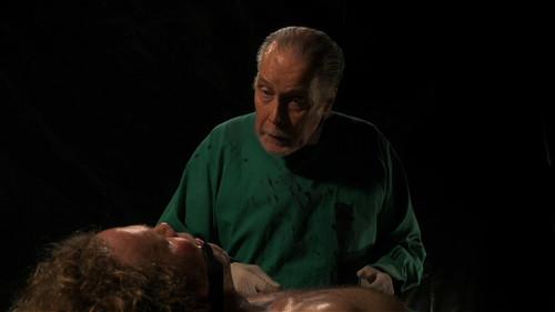 Wax filmas žiurėti online