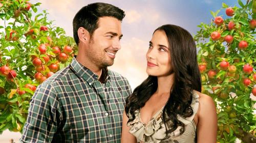 A Country Romance filmas žiurėti online