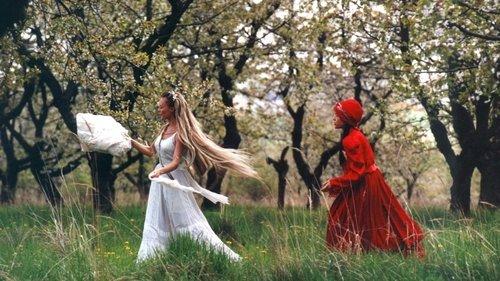 Wild Flowers filmas žiurėti online