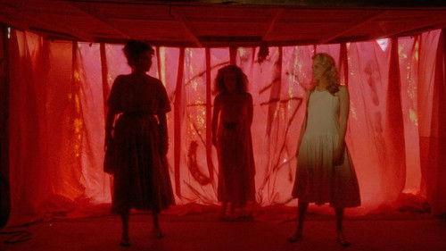 Necromancer filmas žiurėti online