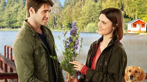 Home by Spring filmas žiurėti online