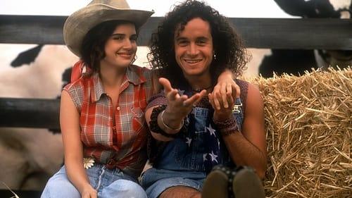 Son in Law filmas žiurėti online