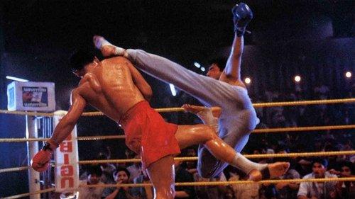 Iron Angels 3 filmas žiurėti online