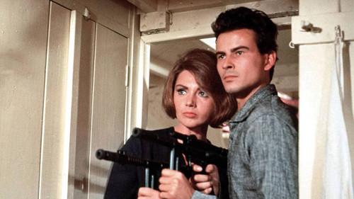 That Man in Istanbul filmas žiurėti online