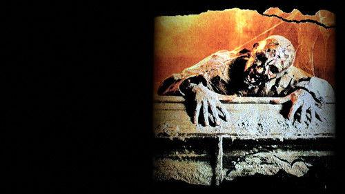 Una notte al cimitero filmas žiurėti online