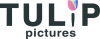 Tulip Pictures studio logo