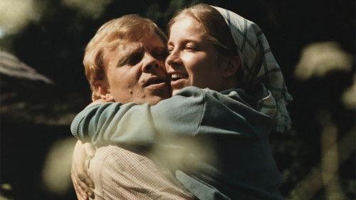 Ulvova mylläri filmas žiurėti online