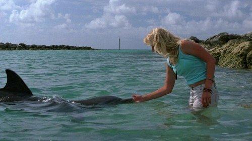 Eye of the Dolphin filmas žiurėti online