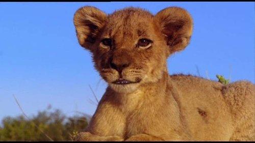 Pride filmas žiurėti online