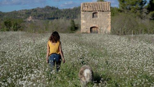 Los destellos filmas žiurėti online