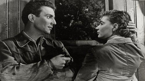 2x2 Are Sometimes 5 filmas žiurėti online