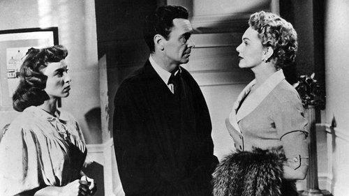 The Miami Story filmas žiurėti online