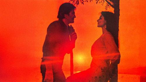 Kader Arkadaşı filmas žiurėti online