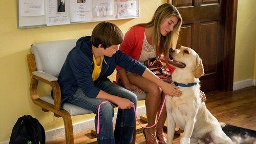 Marshall's Miracle filmas žiurėti online