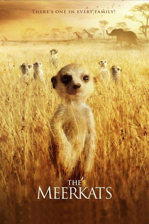 The Meerkats filmas online