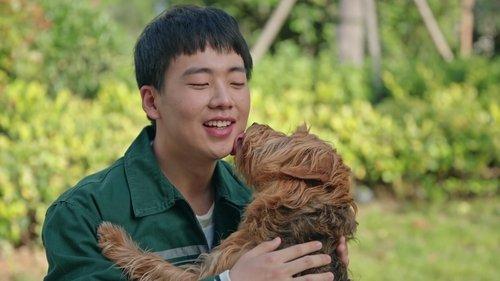 Adoring filmas žiurėti online