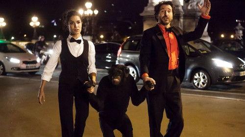 Open at Night filmas žiurėti online